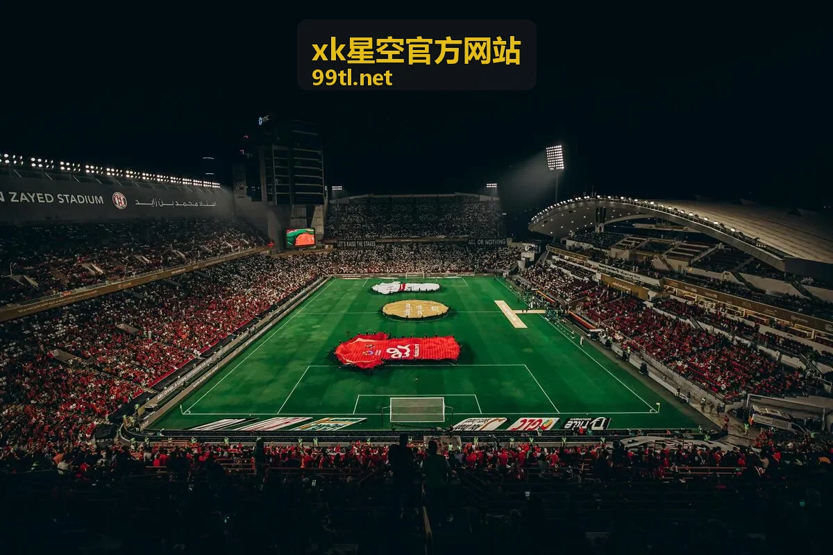 xk星空官方网站游戏控制台画面