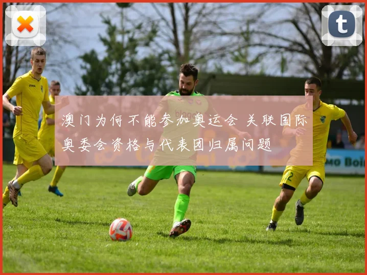 澳门为何不能参加奥运会 关联国际奥委会资格与代表团归属问题