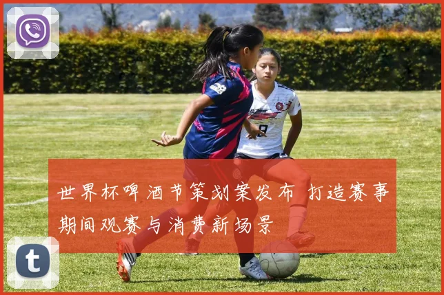世界杯啤酒节策划案发布 打造赛事期间观赛与消费新场景